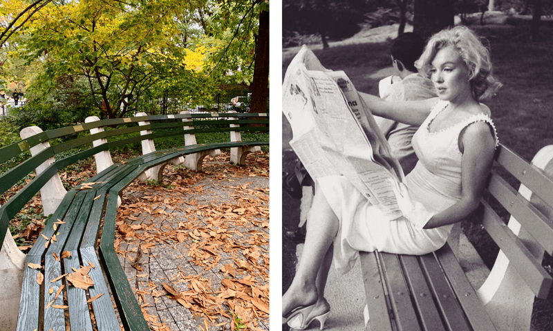 Benches Of Central Park preview 6